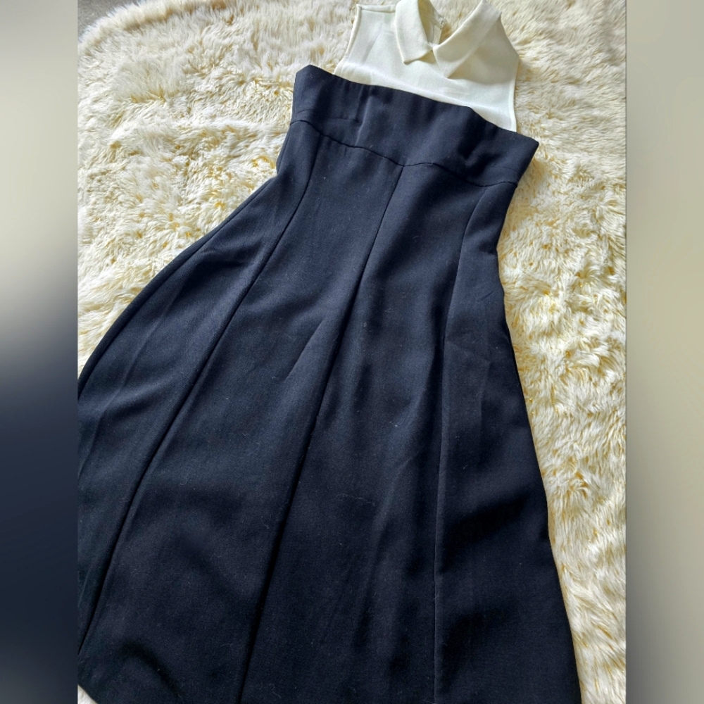 Elegant Black and White Fitted A-Line Dress